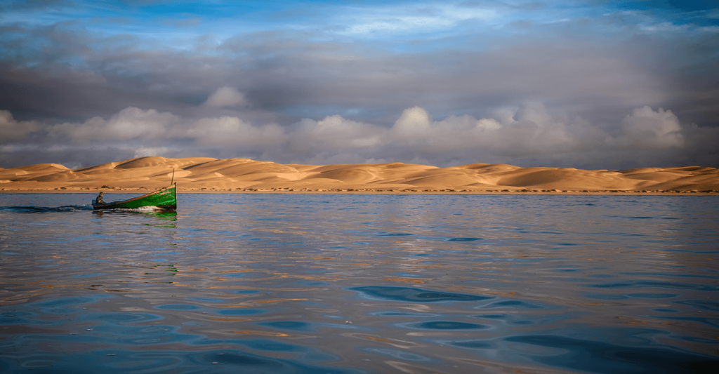 صورة تعبيرية