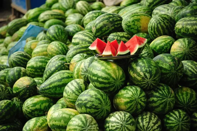 الدلاح