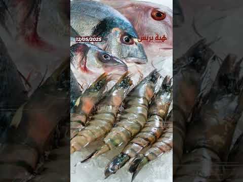 الأسماك الروسية تغزو السوق المغربية
