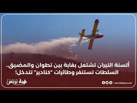 ألسنة النيران تشتعل بغابة بين تطوان والمضيق.. السلطات تستنفر وطائرات “كنادير” تتدخل!