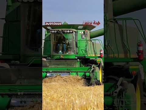 انخفاض كبير في واردات المغرب من القمح الروسي رغم تراجع الأسعار