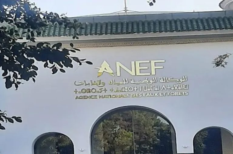طنجة .. الوكالة الوطنية للمياه والغابات تنفي اجتثاث غير قانوني لأشجار غابة البرج