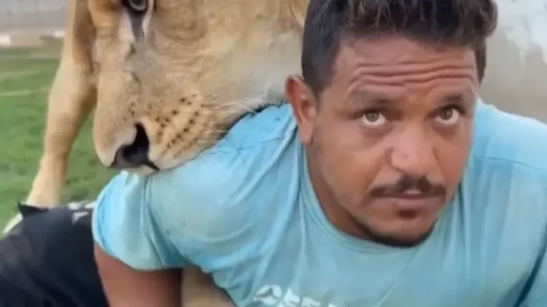لقطة من الواقعة