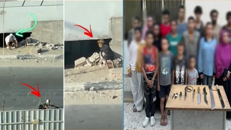 لقطة من فيديو