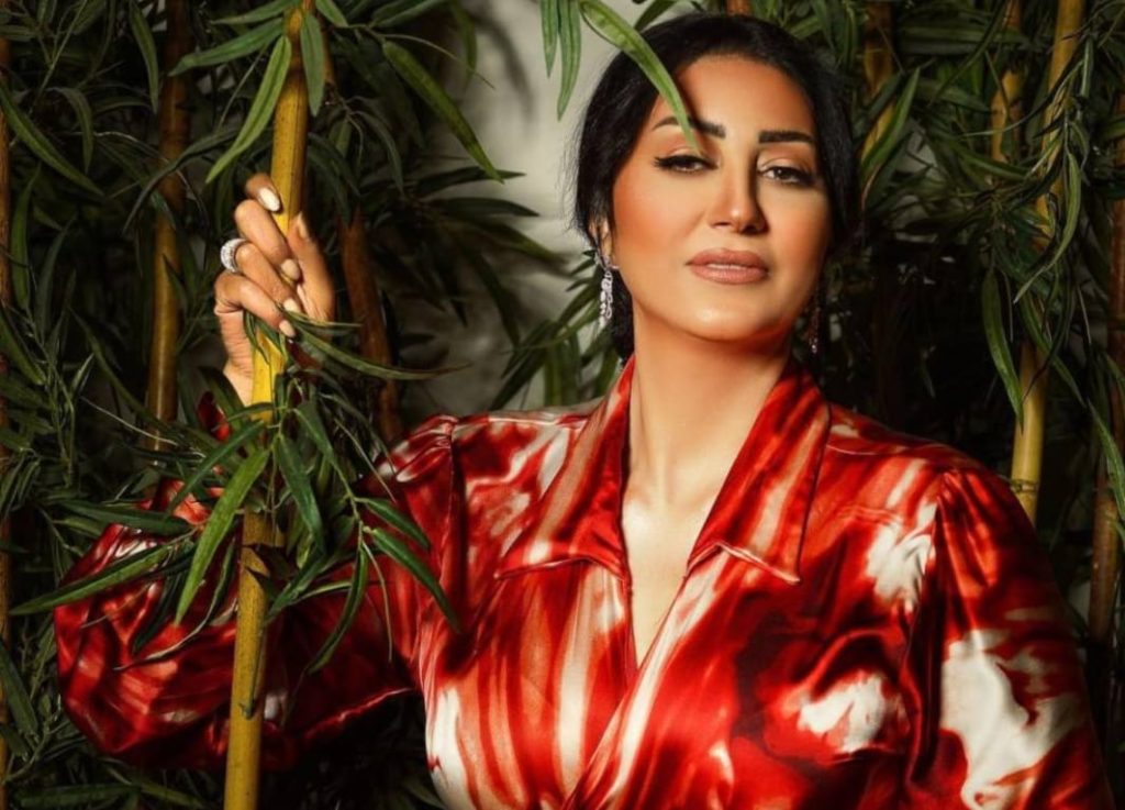 مصر.. هذه حقيقة القبض على الفنانة وفاء عامر
