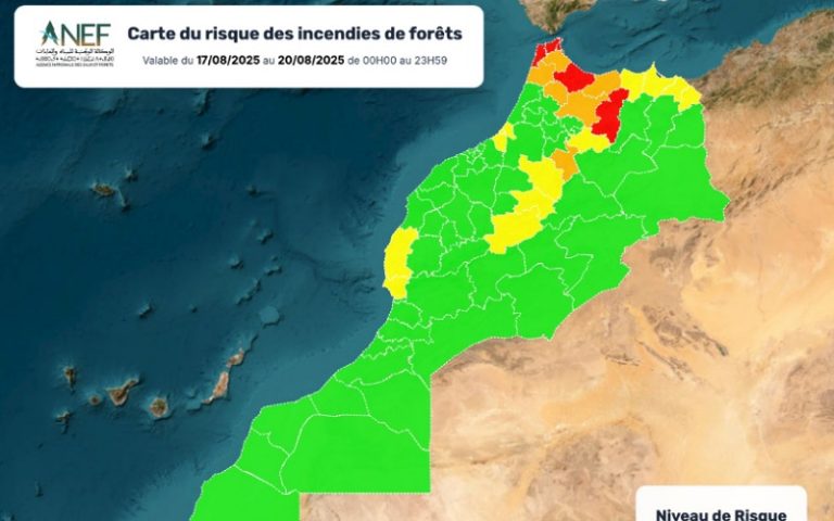 وكالة المياه والغابات تصدر نشرة تحذيرية بشأن مخاطر حرائق الغابات