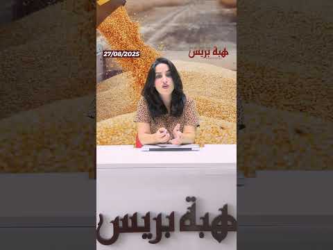 العجز العالمي في القمح يضغط على الأسواق والمغرب يتأثر