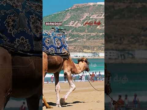 ‎المغرب يحقق 67 مليار درهم عائدات سياحية خلال سبعة أشهر