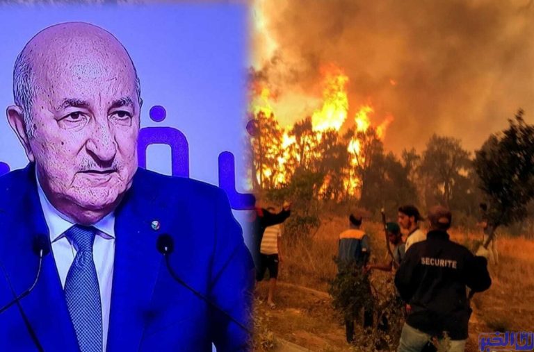 وعود تبون بإطفاء حرائق الغابات تتبخر أمام لهيب النيران