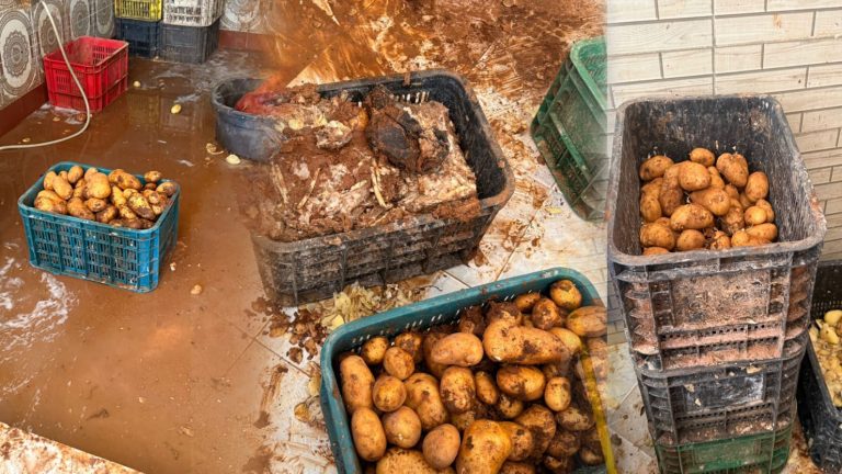 تطوان.. قائد طابولة يطيح بمعمل فريت ملوث.. وحجز طن من البطاطا
