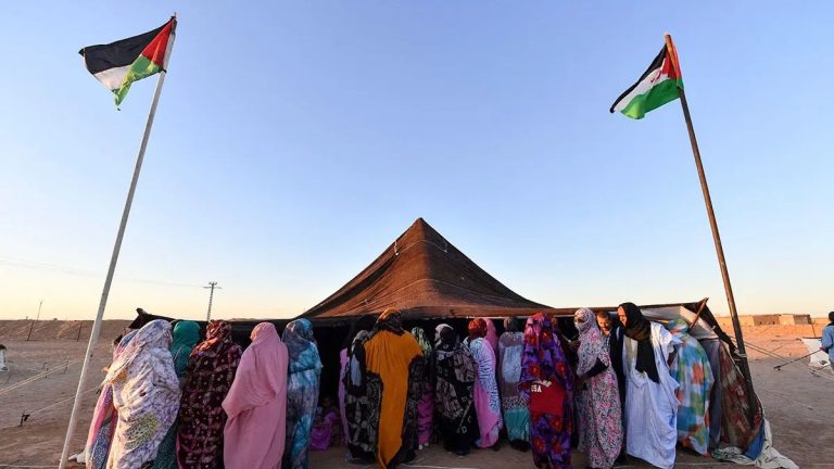 ضحايا "البوليساريو" يفضحون جرائم الجبهة في مؤتمر أممي
