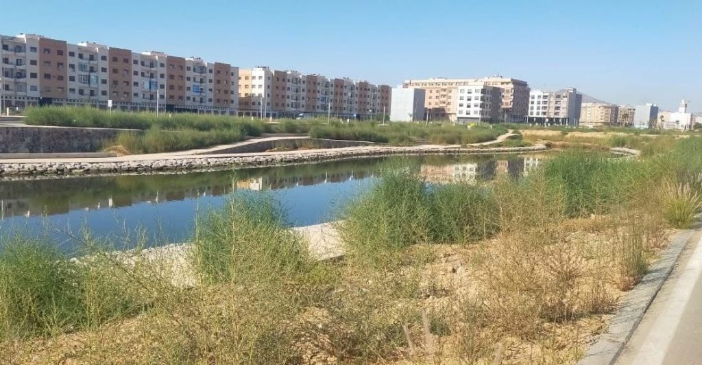 الناظور.. الملايين تصرف على المساحات الخضراء والنباتات الأصلية وحدها تنتصر
