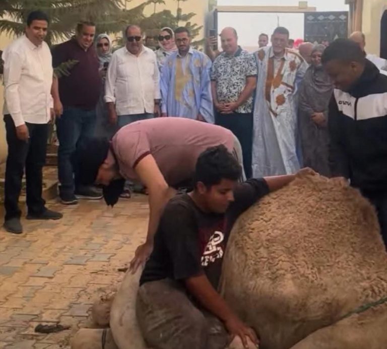 لشكر بالمؤتمر الإقليمي بالعيون..استقبال ب" الناقة" وتأكيد صريح على مغربية الصحراء