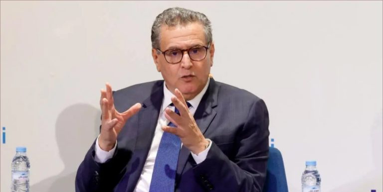 أخنوش: "هناك معارضة بناءة وهناك معارضة تبحث عن الإثارة"