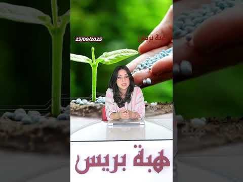 المغرب ثالث مورّد للأسمدة للهند بقفزة قياسية فالصادرات