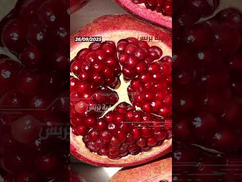 الرمان المغربي بين الأسواق المحلية والدولية موسم ناجح في الأفق