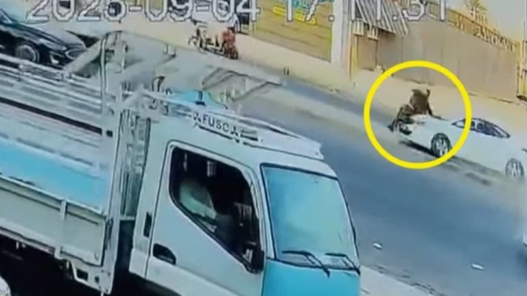 دهس شرطي وتدمير سيارات.. مشهد خطير يثير غضب العراقيين (فيديو)