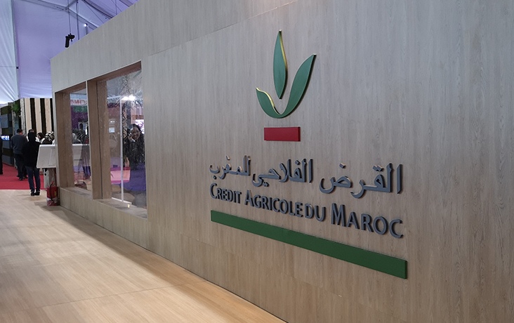 تحفة: "الراضي سبب إفلاس القرض الفلاحي ومدراء بالمؤسسة متورطين بالفساد"