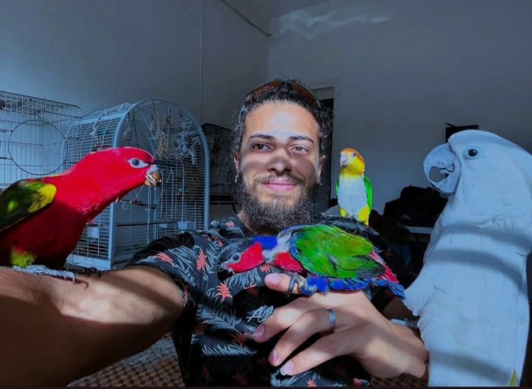 موجة تضامن واسعة مع “Kabo Parrots” بعد مصادرة طيوره