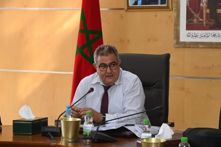 محمد خلفاوي