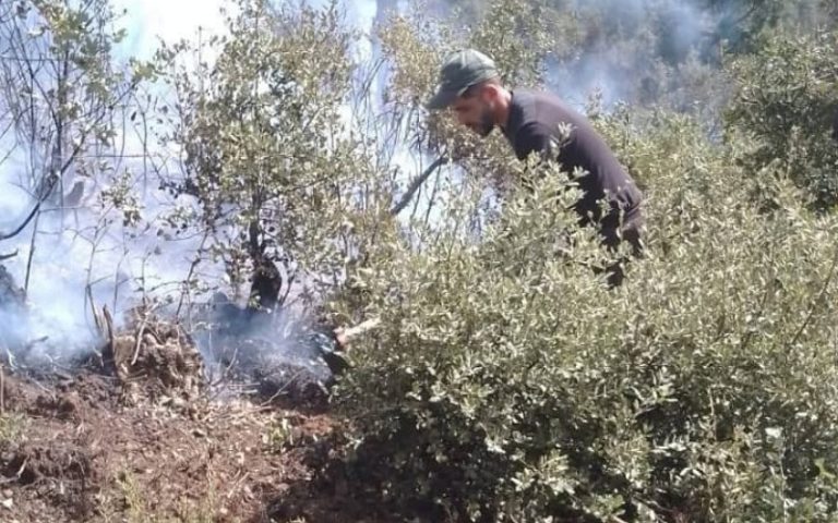الحسيمة.. السلطات تسيطر على حريق جبل دهدوه بجماعة إساكن