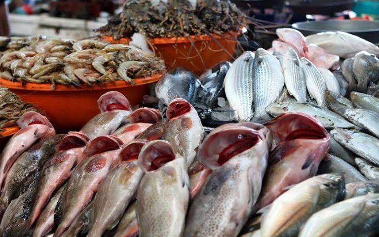 الدريوش تستعرض إجراءات ضبط أسعار الأسماك وتشجيع الاستهلاك المحلي