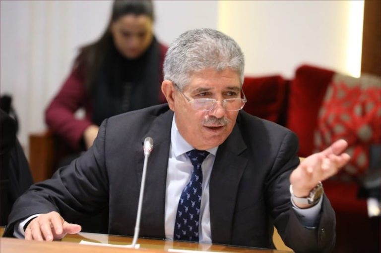التويزي: "الحكومة حققت إنجازات مهمة لكنها مادارتش كلشي"
