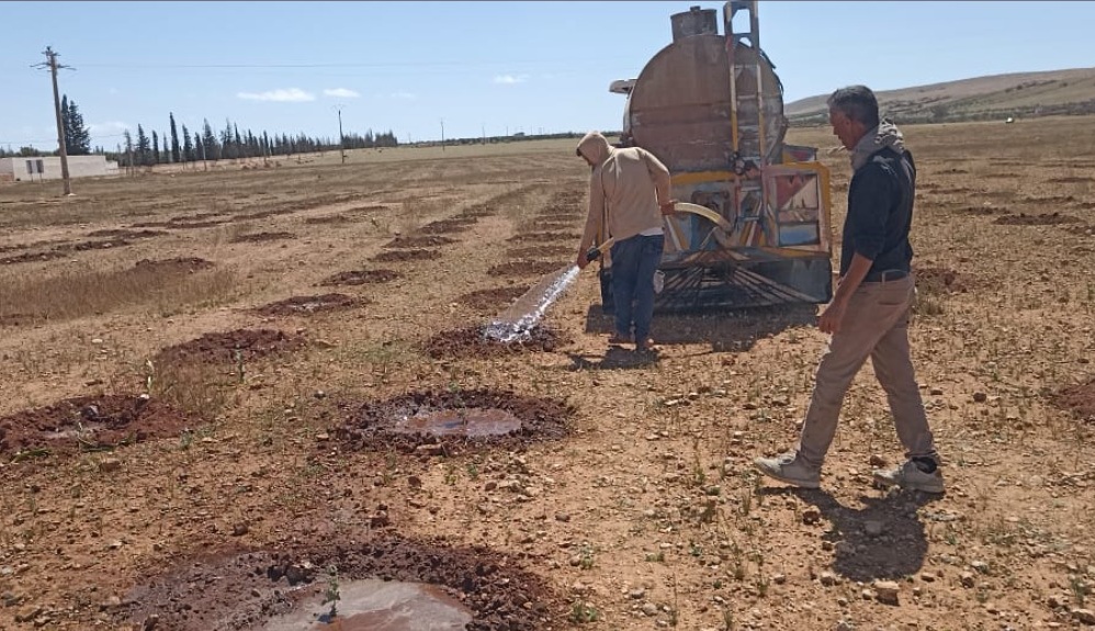 مشروع TransforMed.. تجربة مغربية رائدة في الزراعة المستدامة بالمنطقة المتوسطية