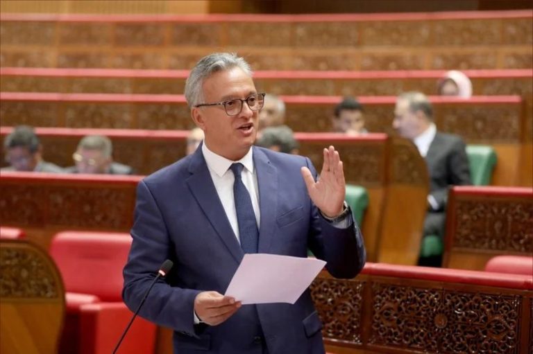 زيدان: "الحكومة صادقت على 250 مشروعا لتشغيل 179 ألف شخص"