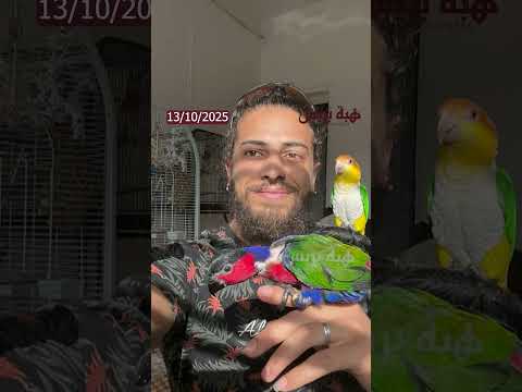 موجة تضامن واسعة مع “Kabo Parrots” بعد مصادرة طيوره