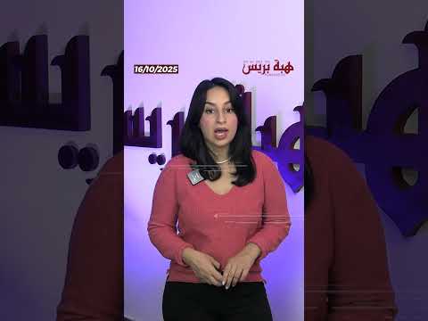 قطاع الأفوكادو في المغرب يشغل 40 ألف عامل ويُدر 350 مليون أورو سنويا