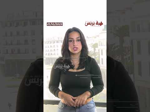 الإنتاج الاستثنائي المرتقب لزيت الزيتون في المغرب يثير مخاوف الفلاحين الإسبان