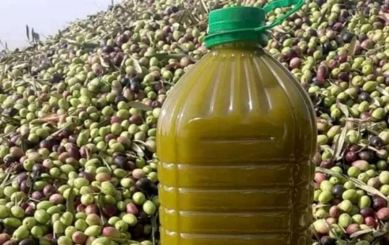 الزيت المغربي