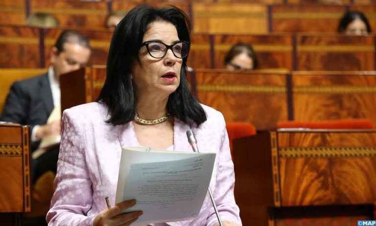 السغروشني: الحكومة عازمة على مواصلة تنزيل إصلاحات الوظيفة العمومية