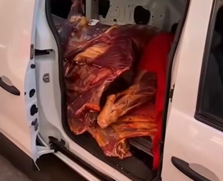 ضبط كمية من اللحوم الفاسدة بمراكش