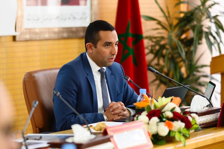 وكالة التنمية الرقمية
