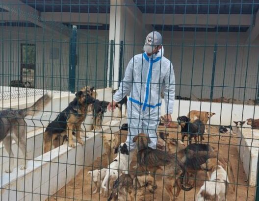 أكادير: افتتاح مركز حماية الحيوانات سوس ماسة بمواصفات دولية