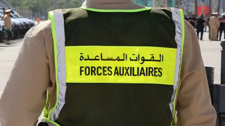القوات المساعدة