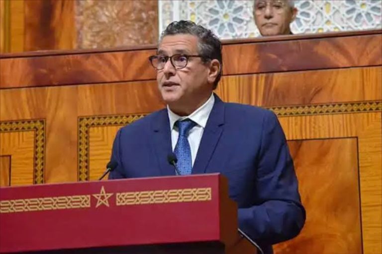 عزيز أخنوش