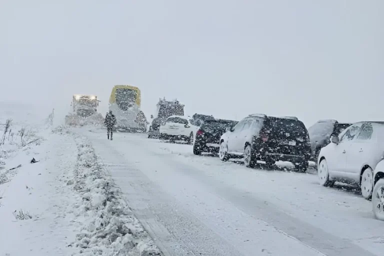 صورة تعبيرية