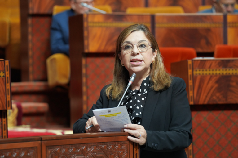 بنيحيى: النساء يخصصن 90 في المائة من وقتهن للبيت.. ولا يمكن تركهن في الظل