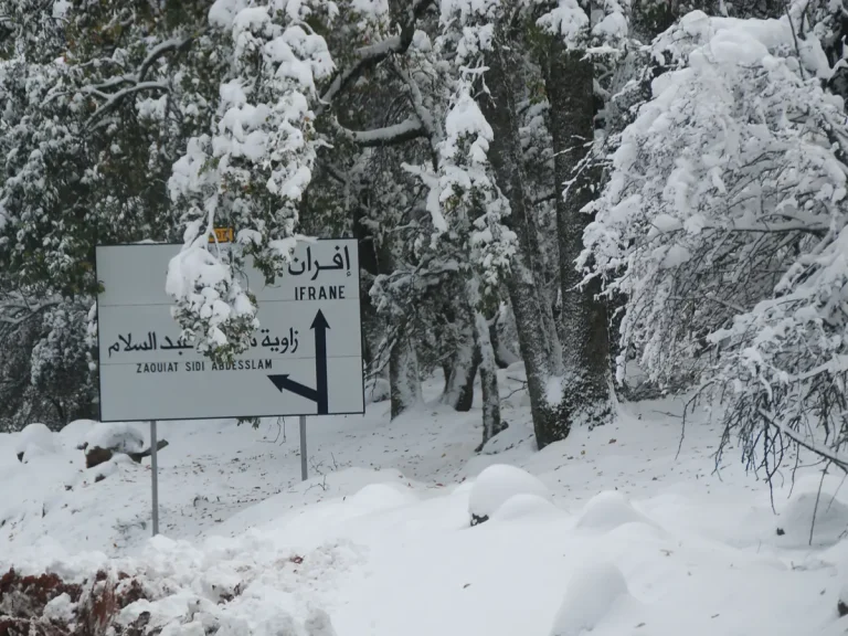 الثلوج في المغرب