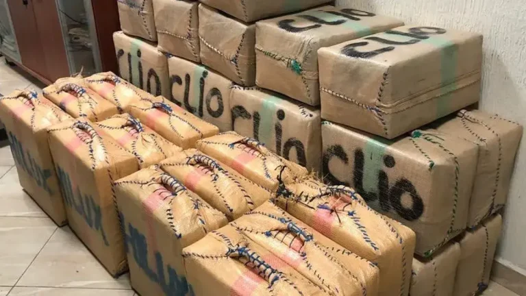 إجهاض محاولة تهريب أكثر من 8 أطنان من الشيرا بميناء طنجة