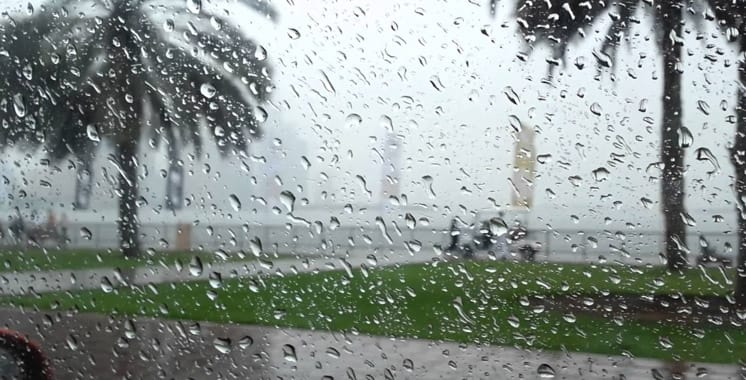 أمطار تعيد الحياة إلى حقول أقاليم جهة سوس ماسة