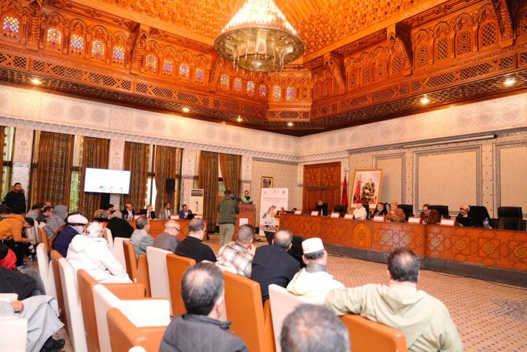 من فاس: مقاربة تشاركية لتدارس إمكانية الانفتاح على المكننة بقطاع الصناعة التقليدية
