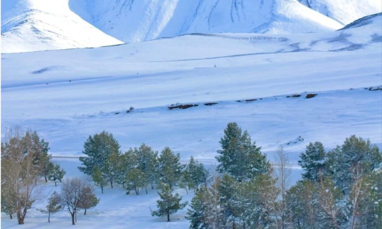 استغلال التساقطات الثلجية بين الواجب الإنساني والتوظيف السياسي