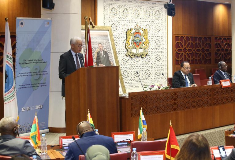 العلمي: إفريقيا مدعوة للانتقال من منطق تدبير الأزمات إلى تسويتها