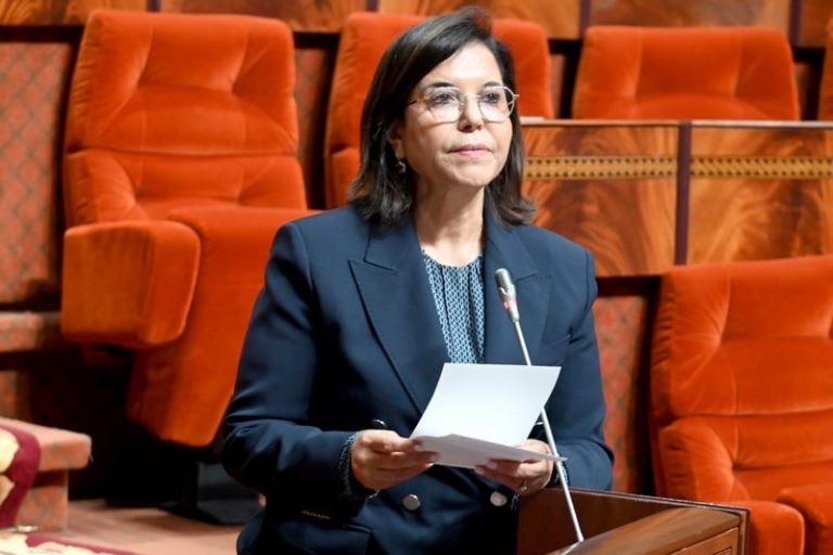الدريوش :أنجزنا 42 قرية للصيد ونقط تفريغ مجهزة باستثمار 3,33 مليار درهم