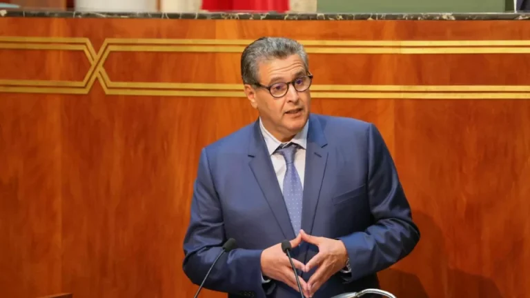 أخنوش: الملك واجه بكل حكمة ورزانة محاولات التشويش والتضليل والتشهير التي رافقت كأس أفريقيا