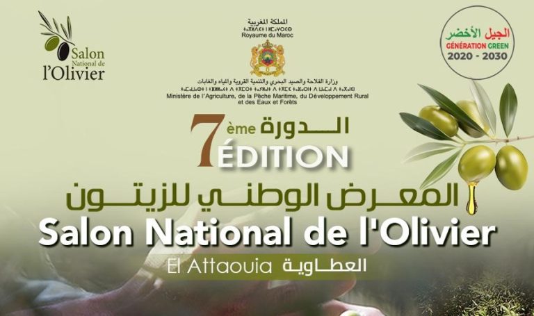 وزارة الفلاحة تعلن عن موعد تنظيم المعرض الوطني للزيتون بالعطاوية